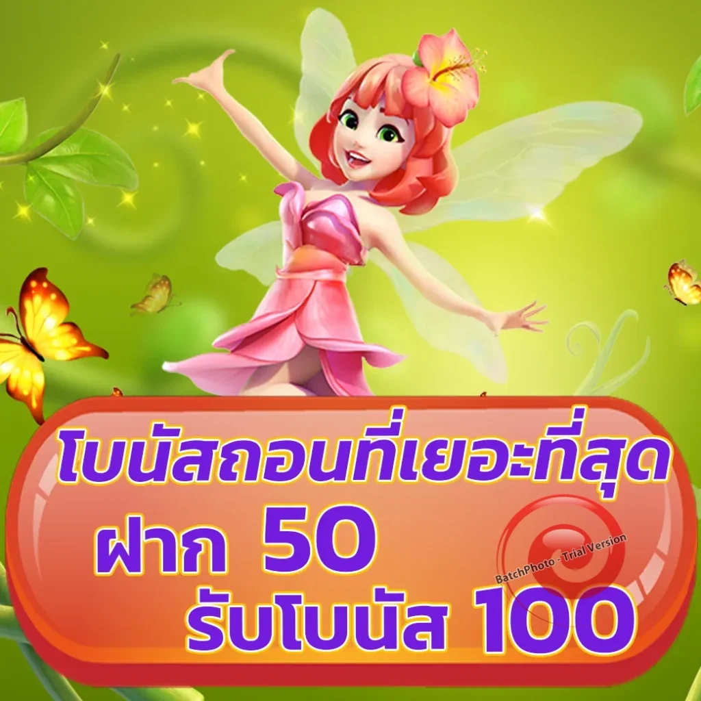 คิงคอง89 wallet